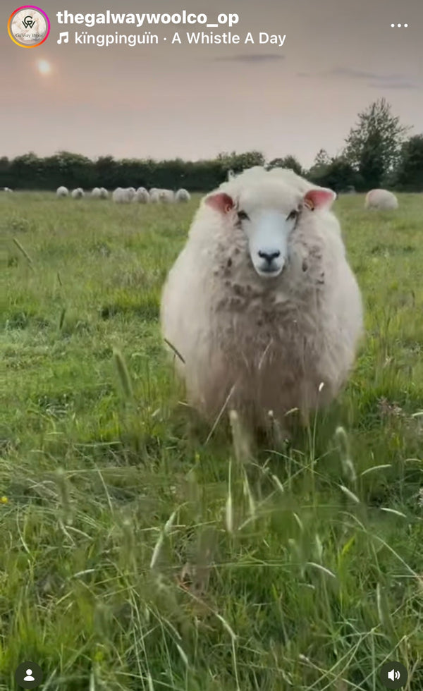 Steve McQueen Natural Galway Irish Wool Sweater