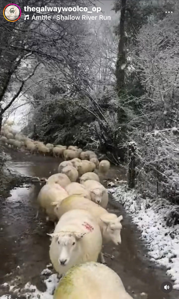Steve McQueen Natural Galway Irish Wool Sweater